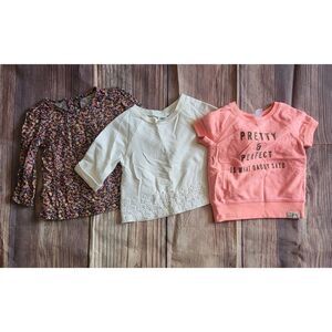 Bundle of 3 toddler shirts